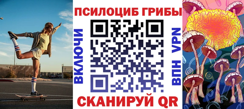 Псилоцибиновые грибы Psilocybine cubensis Краснообск
